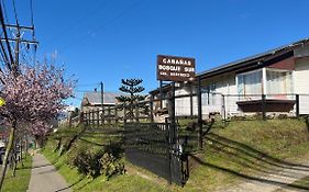 Cabañas Bosque Sur